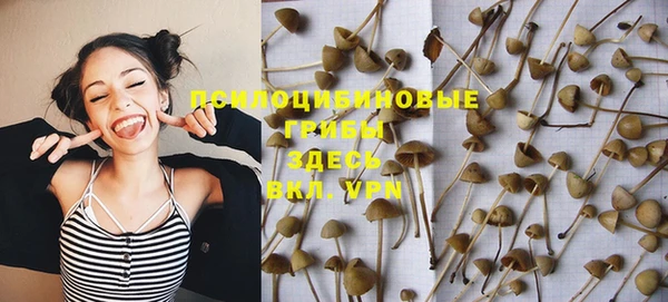не бодяженный Дмитровск