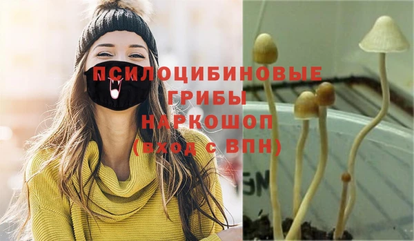 mix Дмитров